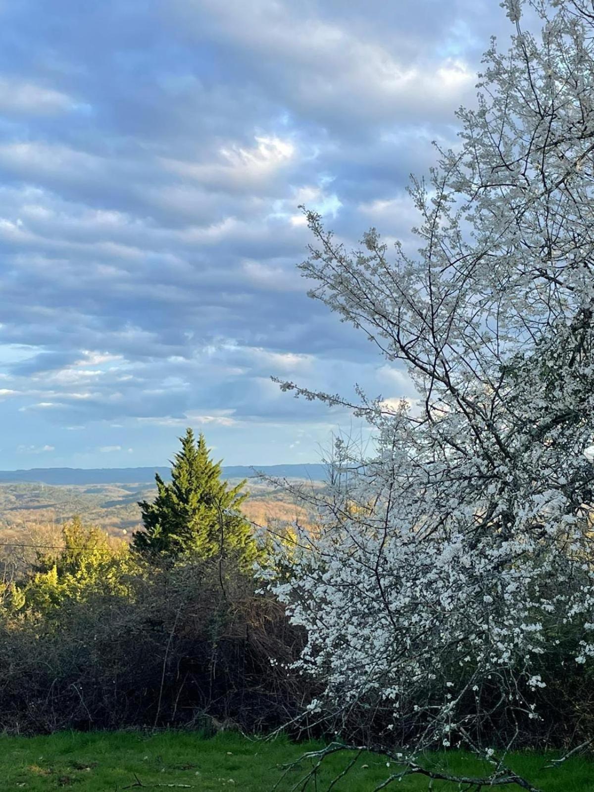 La Bergerie La Campagne En * Sarlat-la-Caneda