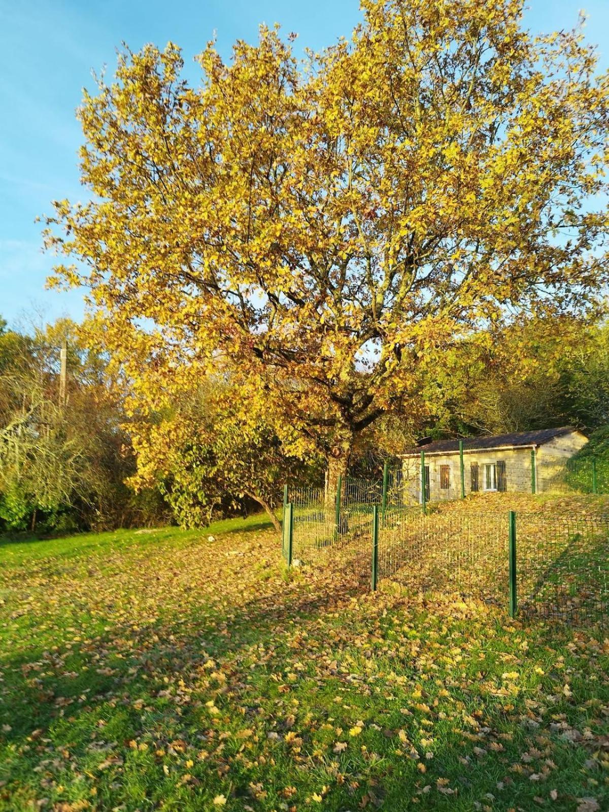 Holiday home La Bergerie La Campagne En Sarlat-la-Caneda